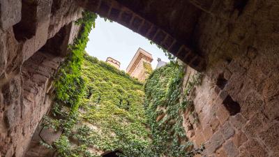 Guided tour of the Royal Palace of Olite